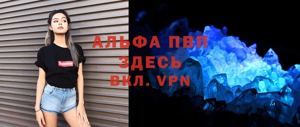 гашик Верея