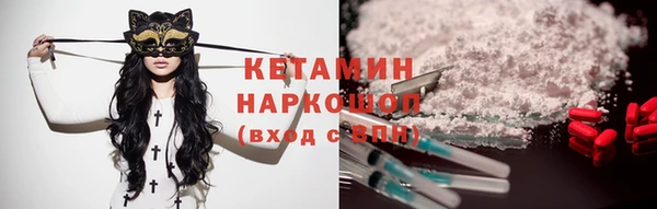 прущий лед Бородино