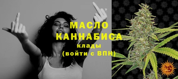 прущий лед Бородино