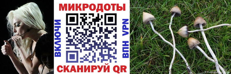 Купить закладки  Красный Кут  Псилоцибиновые грибы Psilocybe 