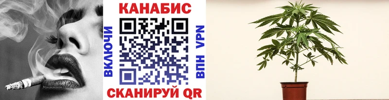 Канабис сатива  Купить закладки  Красный Кут 